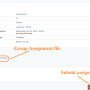 student_en_4_group_assignments3.jpg