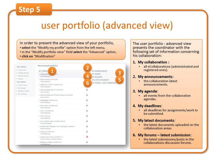 Step 5: user portfolio (advanced view) 